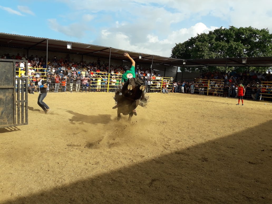 Toros2